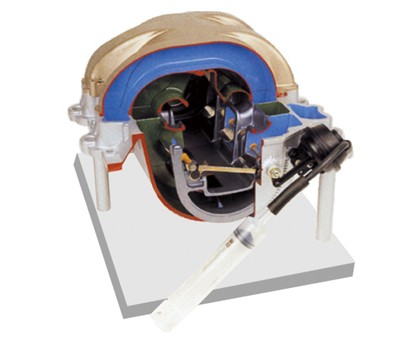 感應開關系統(tǒng)解剖模型