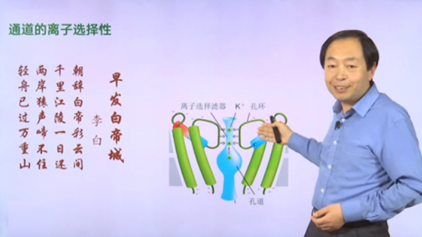 61fdc0fb145b436eaf7e592a0b589277.png 61fdc0fb145b436eaf7e592a0b589277.png