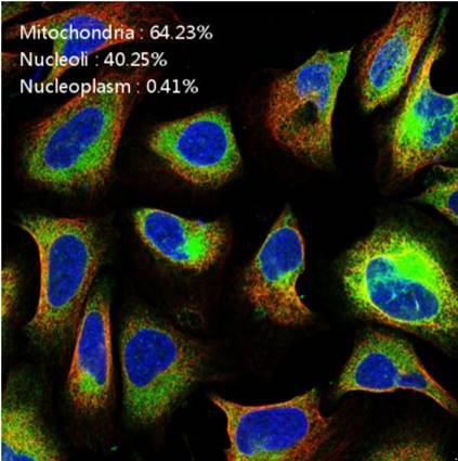 蛋白質(zhì)分類評(píng)估